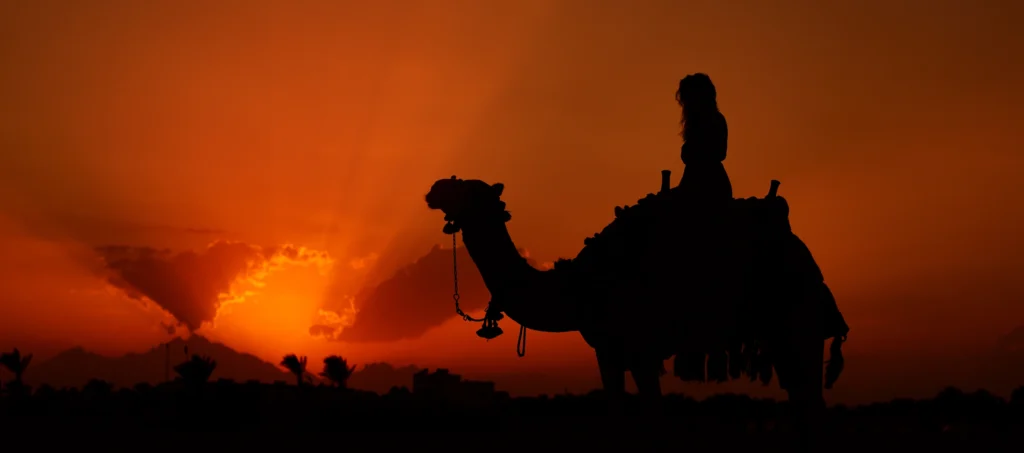 The silhouette of a woman riding a camel against a dramatic fiery sunset sky, with distant mountains and palm trees on the horizon.